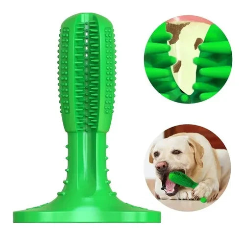 ¡Descubre el Cepillo Dental Antisarro para Mascotas: Sonrisas Saludables y Radiantes! 🐾 QualiTienda